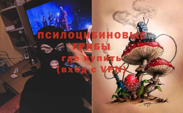 дживик Абинск