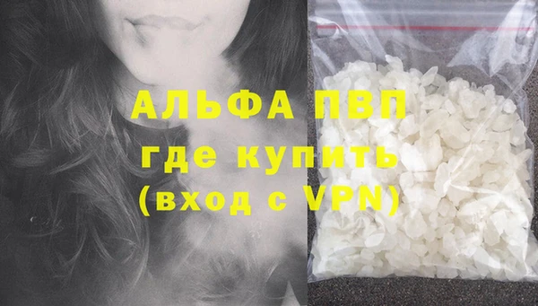 СК Алексин